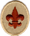 scoutpatchcolor.gif